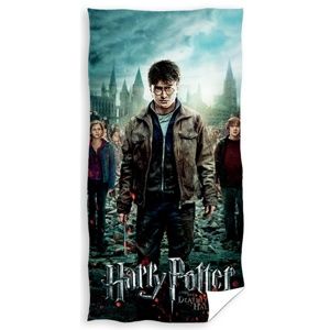 TipTrade Detská osuška Harry Potter, 70 x 140 cm