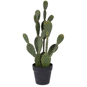 Koopman Umelý kaktus Hayden, 54 cm