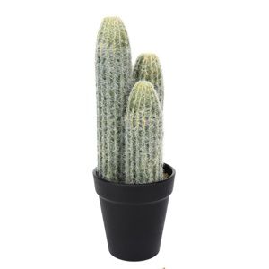 Koopman Umelý kaktus Steins, 10 cm