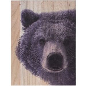 Obraz na dreve Grizzly bear, 28 x 38 cm