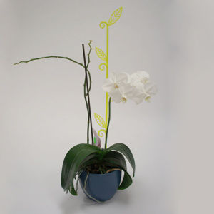 Tyčka k orchideji list, priesvitná zelená, 2 ks, Plastia
